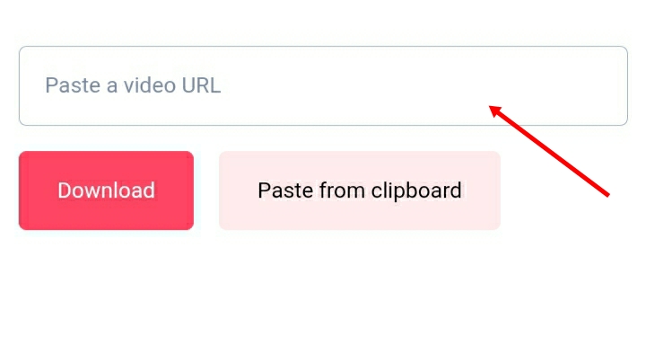 Screenshot of All in One videodownloader showing the "input box" where you can paste the  video URL and download the video with one click from any social media platforms and video hosting websites such as YouTube, Facebook, Twitter and TikTok etc.