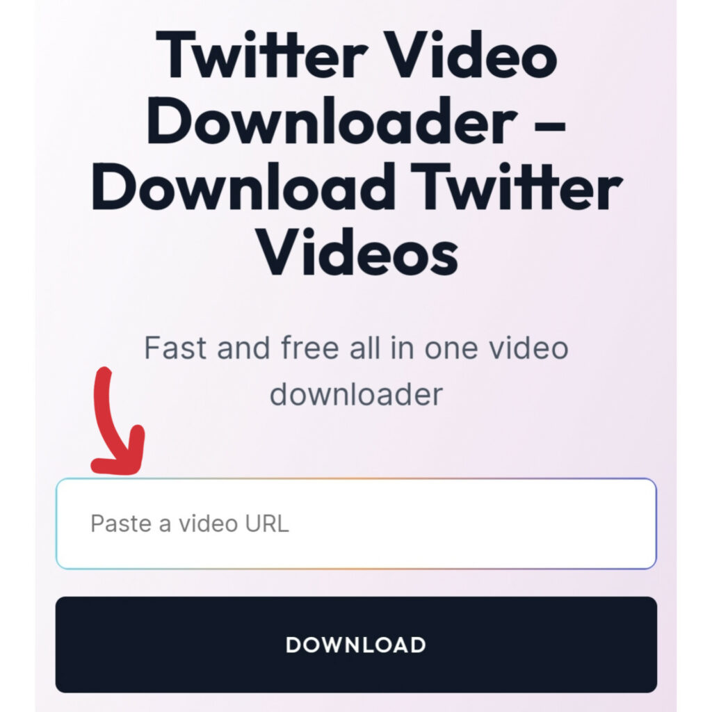 Screenshot of Twitter video Downloader tool, also known as Twitter video saver. This screenshot shows the Input box where you can paste the Twitter video link and click on the download button under the box