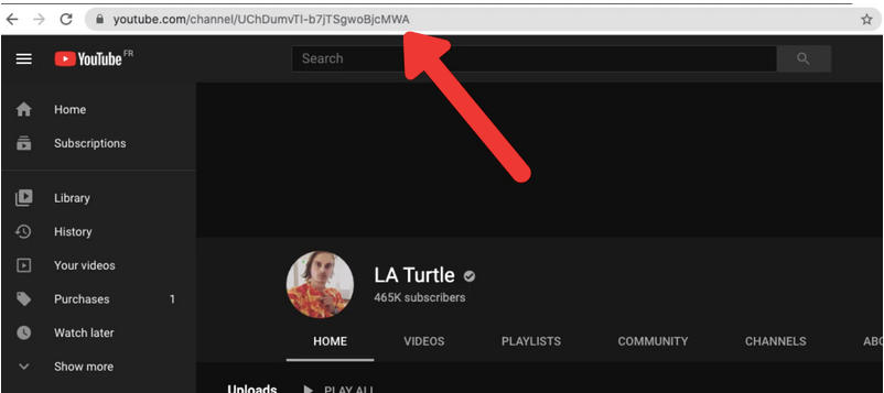 Screenshot image showing url of a YouTube video in the adress bar of a web browser 