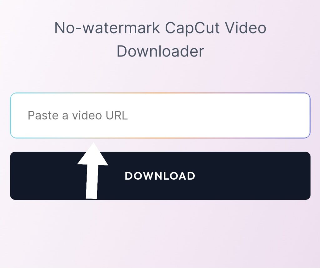 Screenshot image shows the "Input box" on CapCut video downloader. Users can paste CapCut video link in this Input box and download CapCut videos